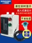Loại phun đồng hồ đo mức chất lỏng chữa cháy bể nước đo mực nước công tắc điều khiển 4-20mA cảm biến mức chất lỏng áp suất tĩnh