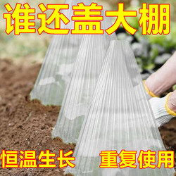 Seedling Protection Cover, Vegetable Plant Cover, Greenhouse Melon Seedling Cover, Large Seedling Cover, Seedling Insulation and Insect-Proof Plastic Cover