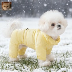 New Dog Clothes for Autumn and Winter, Thickened Winter Warm Clothing for Bichon, Teddy, Schnauzer, down Jacket for Small Dogs and Pets