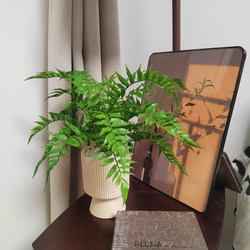 Simulated Green Plants, Desktop Fake Plants, Aisle Office, Shopping Mall, Dining Table Decoration, Flower Pots, Flower Arrangements