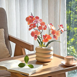 ins Phalaenopsis Orchid Potted Artificial Flowers, Realistic Fake Flowers, Bonsai Green Plants, Living Room Dining Table Decoration Ornaments