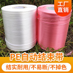 Brand New Pe Automatic End-Tie Tear-Off Tape, Special Plastic Rope for Carton Packaging, Binding and Strapping