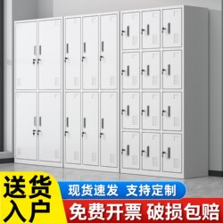 Locker, Employee Locker, Metal Cabinet, Dormitory Cabinet with Lock, Factory Locker, Bag Storage Cabinet, Cupboard, Bathroom Shoe Cabinet
