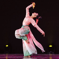 Classical Dance Performance Costume, Chinese Dance Zui Huaxi Style Dance Costume, Elegant Practice and Performance Attire for Art Exams and Taoli Cup