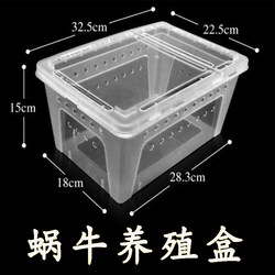 Pet breeding box small animal crawling pet white jade snail nest