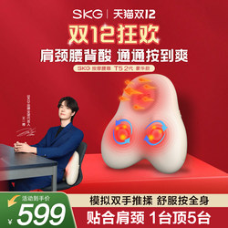Christmas Gift Skg Waist Massager Massage Cushion Back Massager Fully Automatic Kneading T5-2