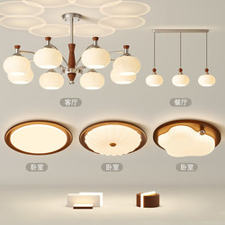 Bauhaus Living Room Chandelier, Mid-Century Retro French Style Hall Main Light, 2026 New Model Lighting Fixtures, Whole House Package Set