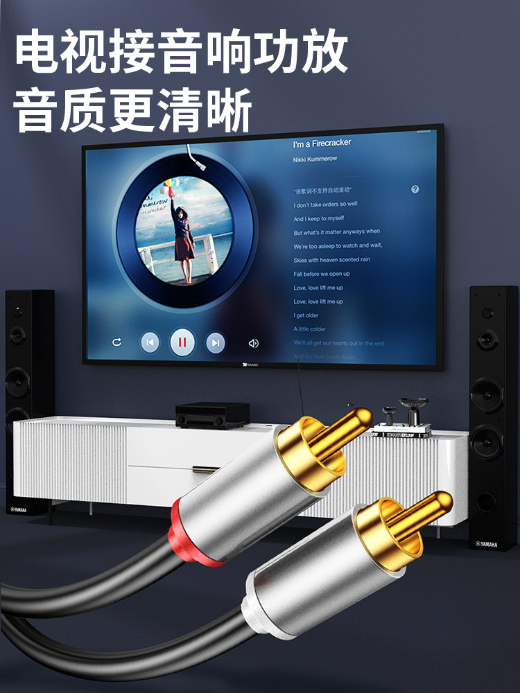Cavo audio RCA bianco e rosso | Cavo RCA