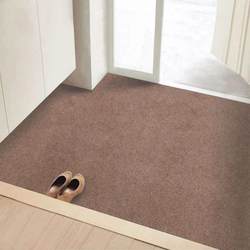 Ultra-Thin Floor Mat That Doesn'T Get Stuck in the Door, 1mm Thin Carpet for Bedroom Entrance, Non-Slip, Water-Absorbent, Household Entry Door Mat