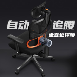 Metachi Waist-Support Ergonomic Chair, Computer Chair, Long-Sitting Office Chair, Gaming Chair, Lumbar Support Chair, Executive Chair