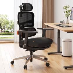 Newtral Metachi T500 Waist-Supporting Ergonomic Chair Home Office Chair Computer Chair Executive Chair Gaming Chair