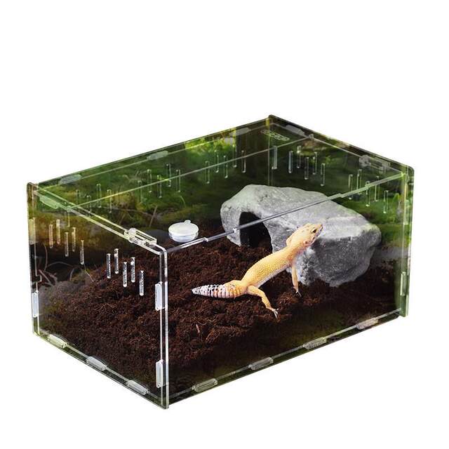 Transparent acrylic reptile box lizard horned frog turtle acrylic ...