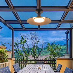 Outdoor Chandelier, Waterproof Ceiling Light, Villa Courtyard Light, Pavilion Light, Entrance Door Light, Glass Sunroom Special Light