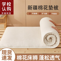 Xinjiang Cotton Mattress Pad for Home Use, Bed Pad, Bedding, Student Dormitory, Single Rental Room, Special Cotton Padding for the Bottom Layer