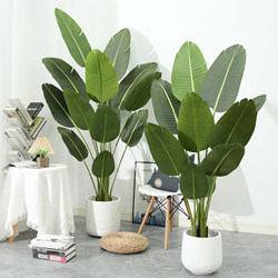 Large Nordic-Style Artificial Green Plant Traveler's Banana Tree Bird of Paradise Trendy Camping-Style Bionic Indoor Living Room Floor-Standing Potted Plant