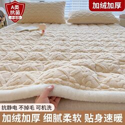 Milk Velvet Mattress-Like Thickened Student Dormitory Mattress Pad Winter Single Thin Pad Soft Coral Velvet Mattress 3