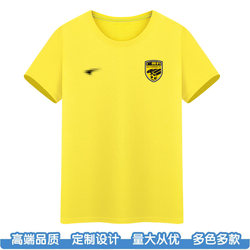 Guangdong Guangzhou Leopard Football Short Sleeve T-Shirt 2024 Chinese Second Division Shadow Leopard Football Team Polo Shirt Home Fan Clothing
