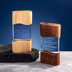 New Creative Wooden Trophy Beech Wood Crafts Gift Nurse Doctor Holiday Crystal Glass Party Member Color Printing