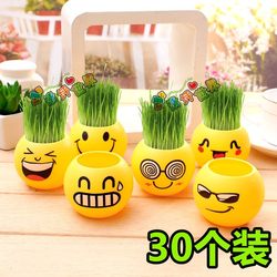 Expression straw head doll diy mini plant potted plant