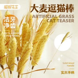 Lavender Artificial Grass Cat Teaser Wand, Self-Entertainment Tool for Kittens, Interactive, Bite-Resistant, Energy-Consuming Cat Toy