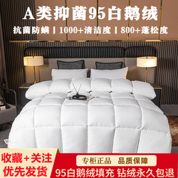 Five-Star Hotel Duvet 95% White Goose down Quilt Winter Quilt Student Dormitory Single Spring and Autumn Quilt Core Thickened for Warmth