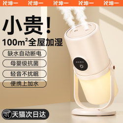 Humidifier for Home Use, Silent, Small, USB Rechargeable, for Bedroom, Office Desktop, Pregnant Women, Infants, Air Aromatherapy Spray