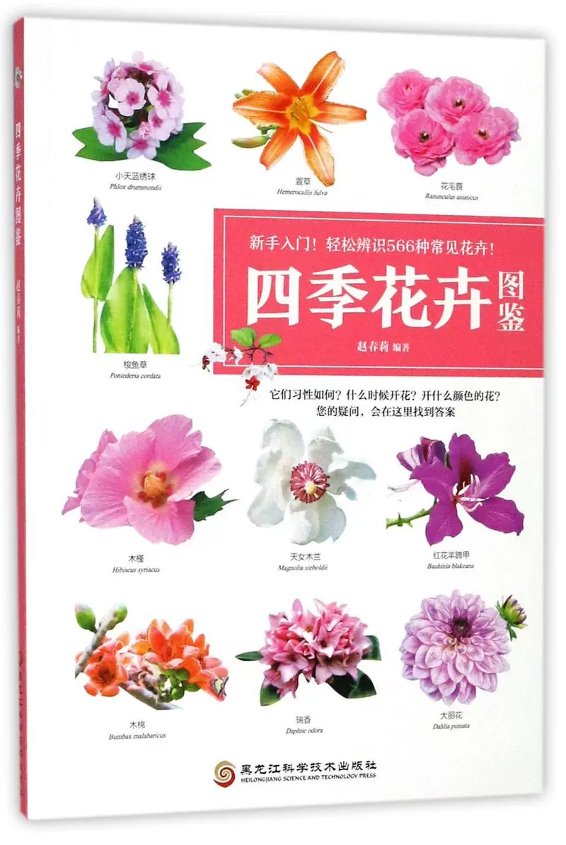 四季花卉图鉴