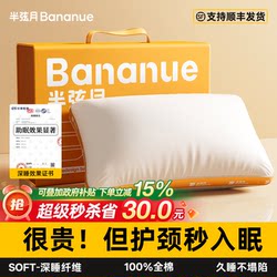 Pillow Core for Neck Protection, Aids Sleep, Special for Cervical Spine, Adult Five-Star Hotel Pillow Core, One Pair, Single Pack