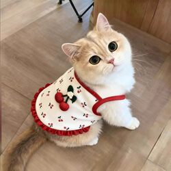 Cat Clothes Cute Cherry Suspender Dress Spring and Summer Thin Breathable Anti-Shedding Pet Dog Vest