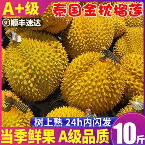 [A+ grade] Golden pillow durian fresh fruit imported from Thailand 10*0.5kg shelled whole fruit seasonal fresh fruit free shipping with SF Express