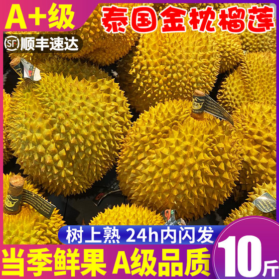 [A+ grade] Golden pillow durian fresh fruit imported from Thailand 10*0.5kg shelled whole fruit seasonal fresh fruit free shipping with SF Express