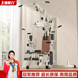 Single-Person Comprehensive Training Device, Multifunctional All-In-One Fitness Equipment for Home Use, High Pull, Reverse Fly, Chest Press