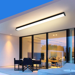 Special Ceiling Light for Sunrooms, Corridor, Entrance, Balcony, Awning, Eaves, Outdoor Waterproof Strip Light