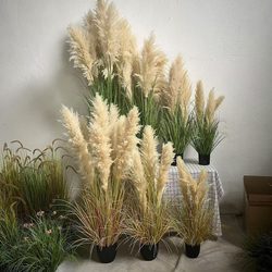 High-End Natural Reed Plant Potted Plants, Bionic Green Plants, Dried Flower Ornaments, Indoor Window Display, Shop Floor Decoration and Landscaping