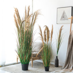 Simulated Natural Reed Potted Plants for Indoor Window Display, Soft Decoration, Landscaping, Foxtail Grass, Floor-Standing Photography, Green Plants, Decorative Floral Art