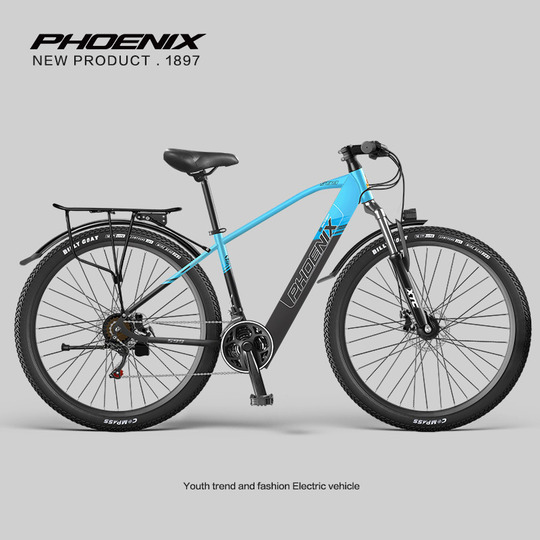 Phoenix電動自転車 - リチウムバッテリー - マウンテンバイク - 男女