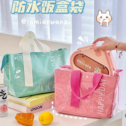 Lunch Box Tote Bag for Office Workers, Insulated Lunch Bag, Lunch Bag, Lunch Bag for Elementary School Students, Commuting Waterproof Bag for Women