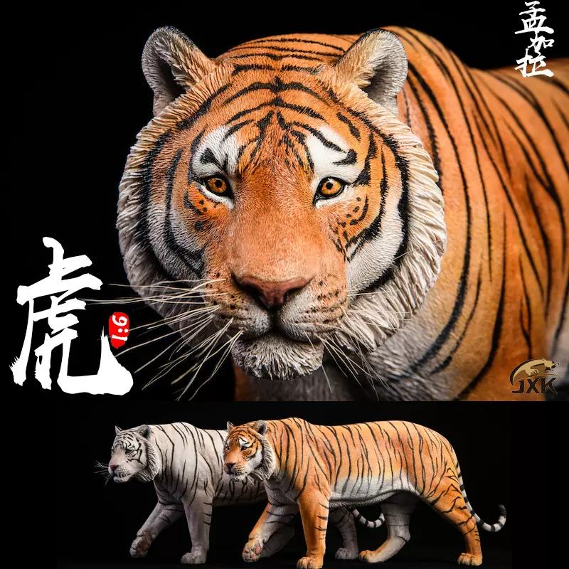 JXK012 1/6孟加拉虎模型仿真大型野生動物擺件老虎周邊樹脂模型-Taobao