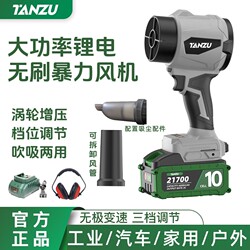 [kg Recommended] Brushless Violent Fan Blowing and Dusting Small Household Handheld High-Power Car Washing and Blowing Water