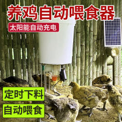 Automatic Chicken Feeder, Automatic Chicken Food Dispenser, Remote Timed Chicken Feeding Device, Feeding Machine