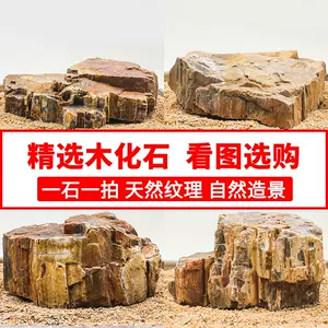 【天然石　鑑賞石】　奇石/化石　海藻化石　木台付　　N1217B