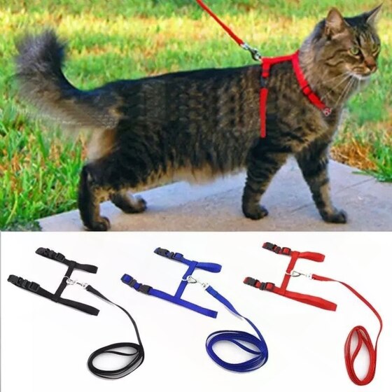 
Special traction rope for cats, out-of-door rope, anti-adjustable rope, break-away vest, I-shaped pet harness, chain supplies