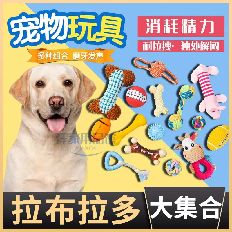 拉布拉多专用狗狗咬玩具耐咬弹力自己玩小型犬