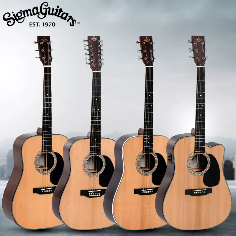 Sigma by Martin DM12/1ST 12弦ギター（シグマ(SIGMA