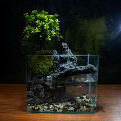 Shuiyuedongtian Chinan finished desktop landscape landscape with filtered water glass tank real plant water and land tank