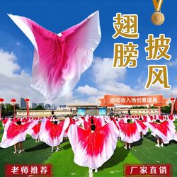 Creative Props for the Opening Ceremony of the Sports Games, Color-Changing Wings, Cloak, Dance Props, Special for School Campus Group Exercises