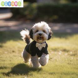 Dog Wedding Dress, Summer Suit, Anti-Shedding Pet Wedding Ceremony Outfit, Dog Groom and Bride Formal Attire
