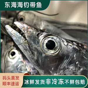 带鱼钢丝鱼钩- Top 50件带鱼钢丝鱼钩- 2024年3月更新- Taobao