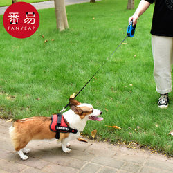 15Y leash A1pn 厎0-automatic retractable dog leash for cats, Teddy, Pomeranian, Corgi, small and medium-sized pets
