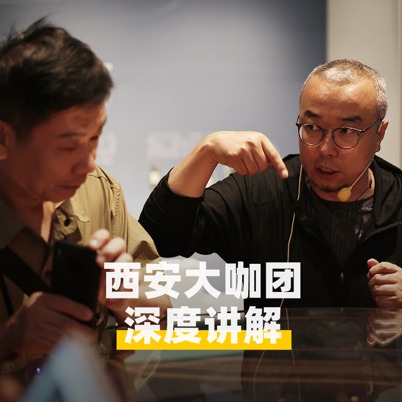 大咖说 陕西历史博物馆之秦汉馆3小时深度讲解不含票15人小团